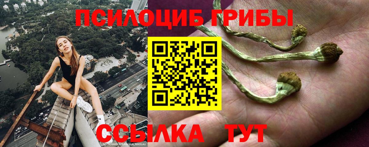 Псилоцибиновые грибы Cubensis  Вход с VPN  Псилоцибиновые грибы мухоморы  Химки 